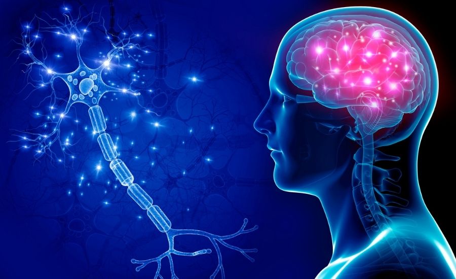 Is Stress & Anxiety Making You Poop? Is Stress & Anxiety Making You Poop?