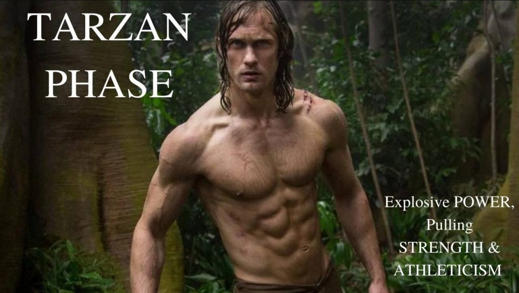 movie star body tarzan training phase