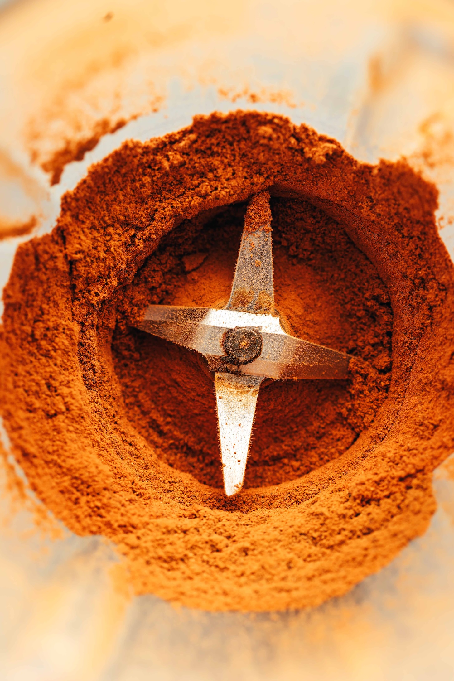 Blender with black tea and spices ground into a fine powder