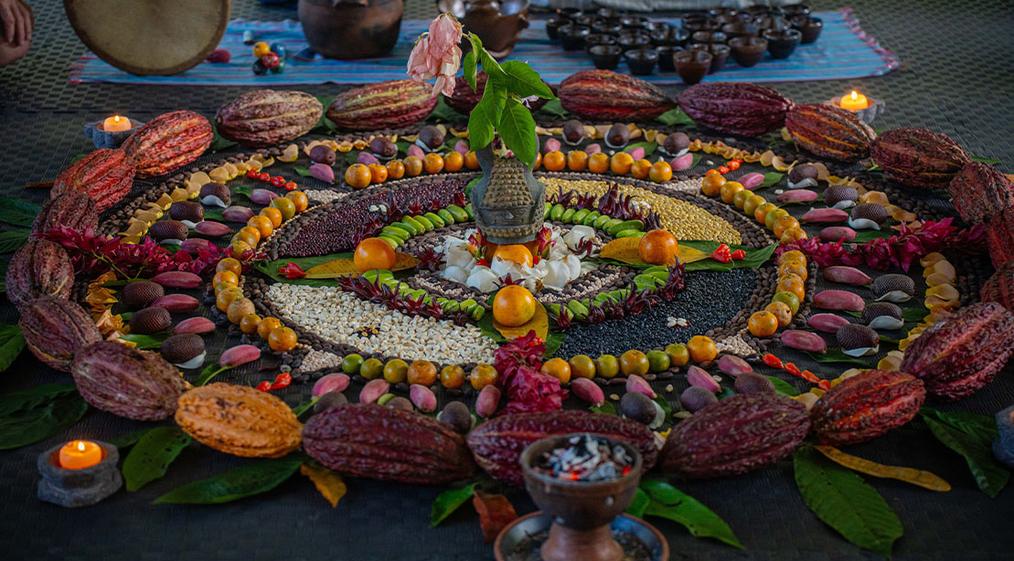 Nutritional meal displayed at the Unlimited Life biohacking retreat from Dave Asprey and Dr. Tim Cook