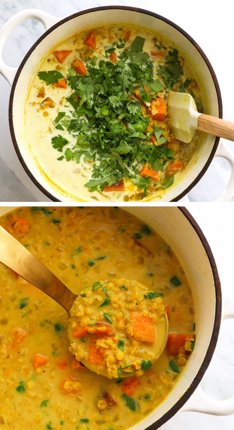 cilantro and coconut milk stirred into lentil curry.