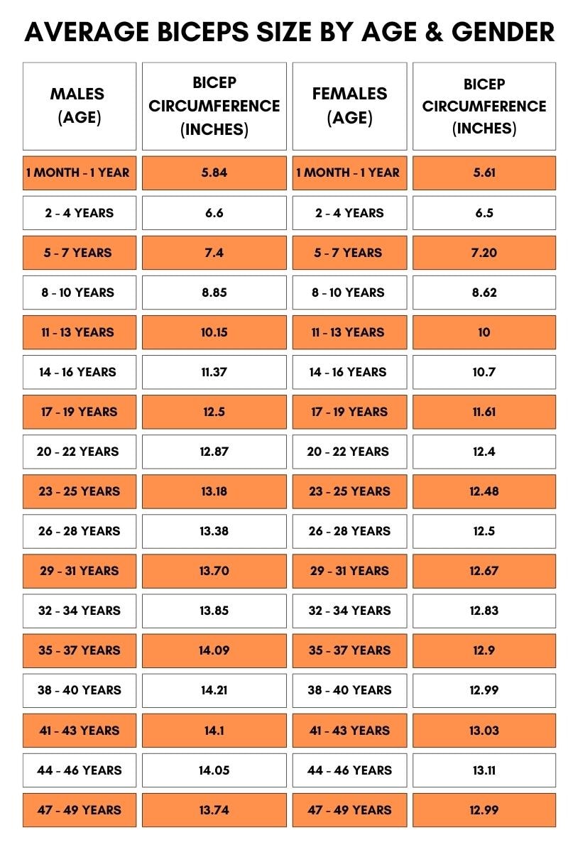 average biceps size by age and gender