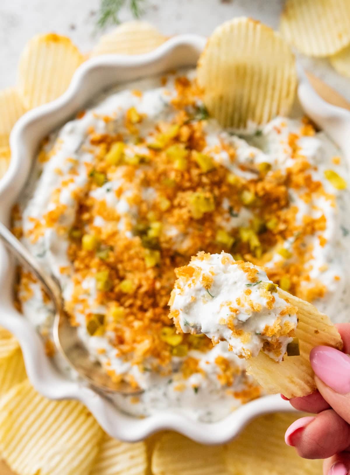 A hand holds a scoop of fried pickle dip on a potato chip over a bowl of the dip.